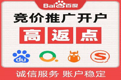 百度推广代运营案例：案例分享：打造行业领军品牌